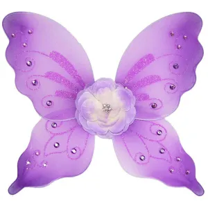 Little Dreamer Fairy Wings