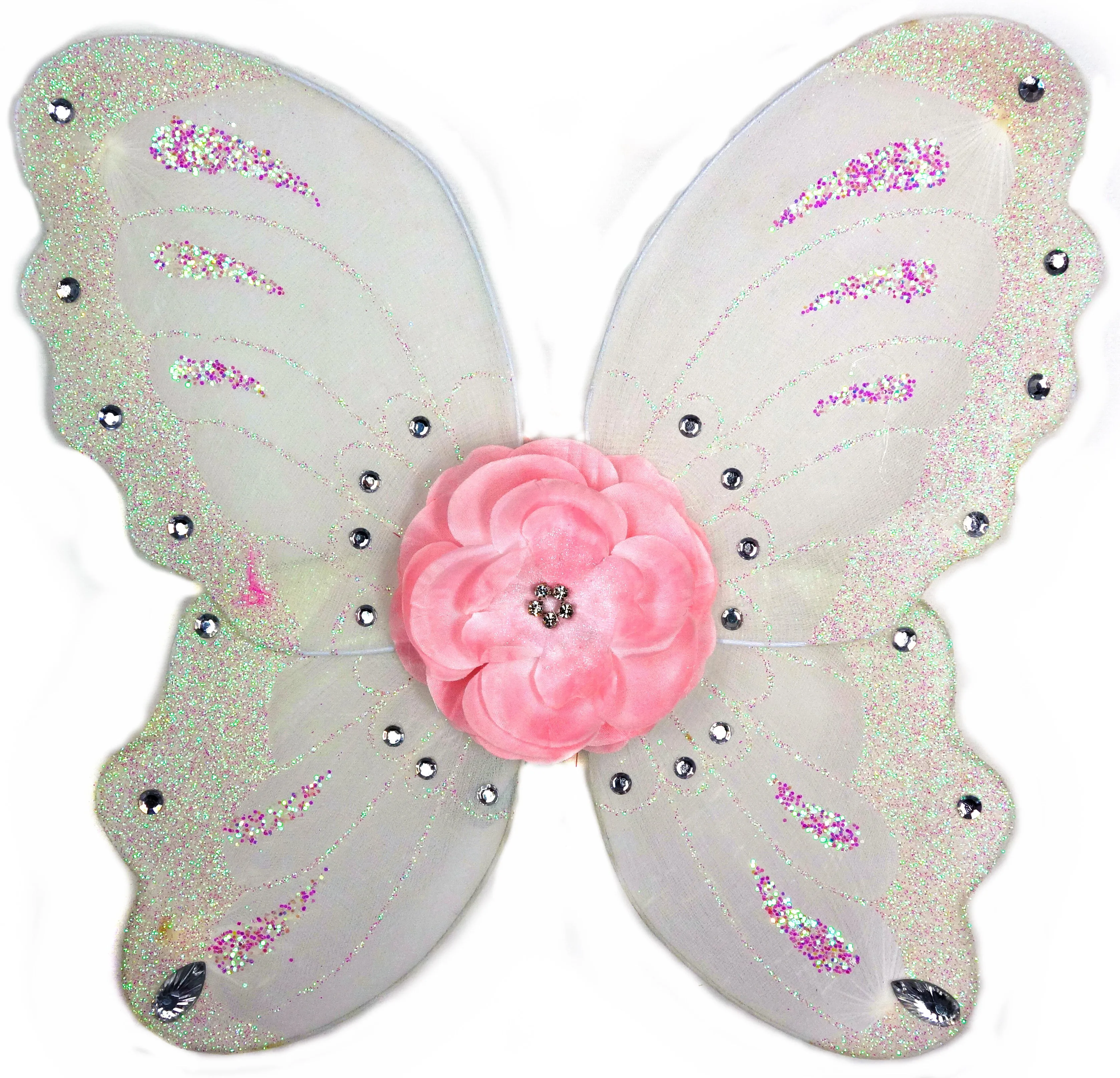 Little Dreamer Fairy Wings