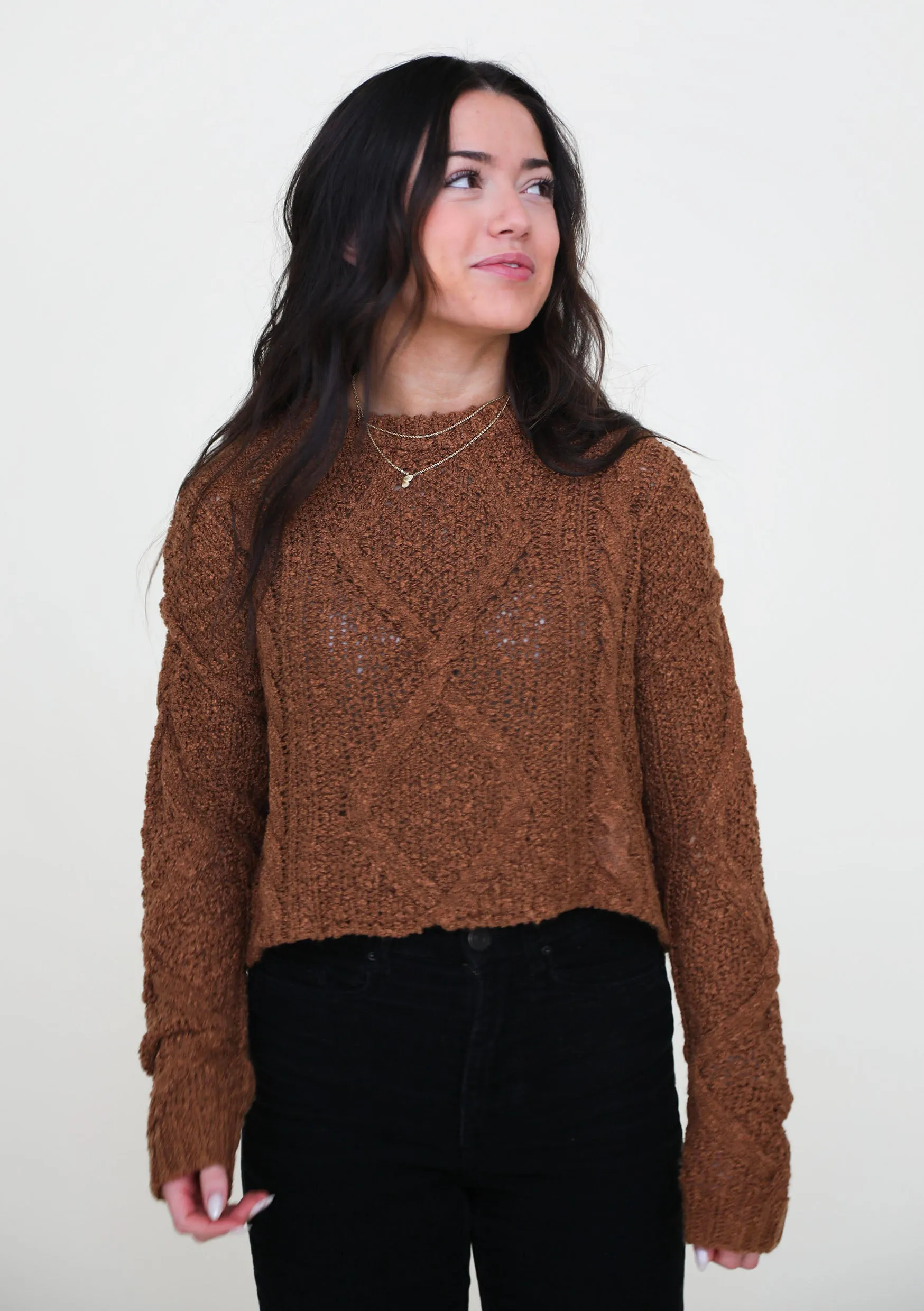 Moon Beam Sweater In Brown